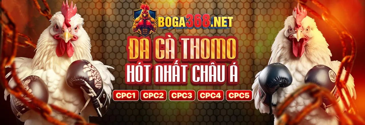 qh88 com hiện đang mở