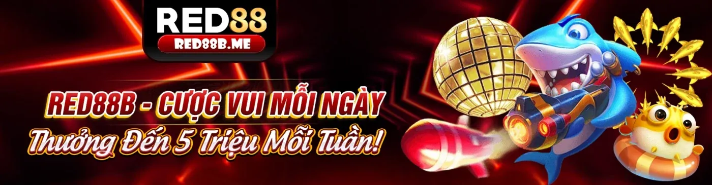 Hình ảnh minh họa tầm quan trọng của cá cược an toàn và bảo mật dữ liệu tại qh88 com hiện đang mở